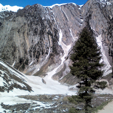 img/Baltal.jpg