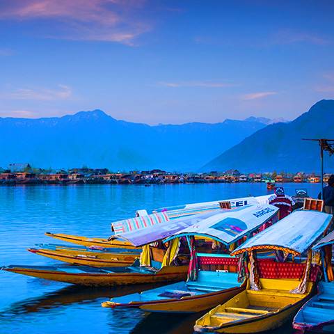 img/Srinagar.jpg