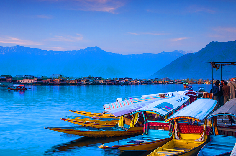 img/dal-lake.png