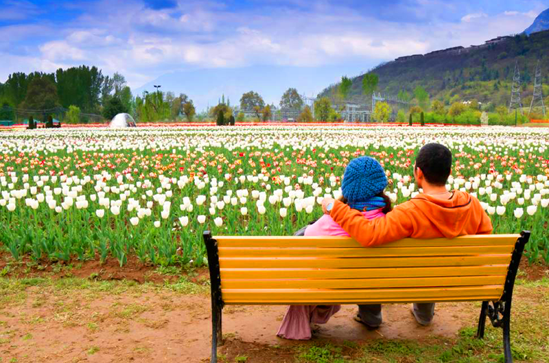 img/honeymoon-kashmir.png